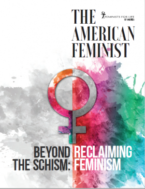 Beyond the Schism: Reclaiming Feminism Cover