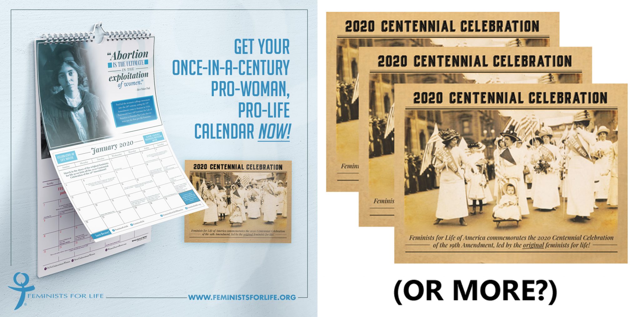 ProLife Calendar Feminists for Life