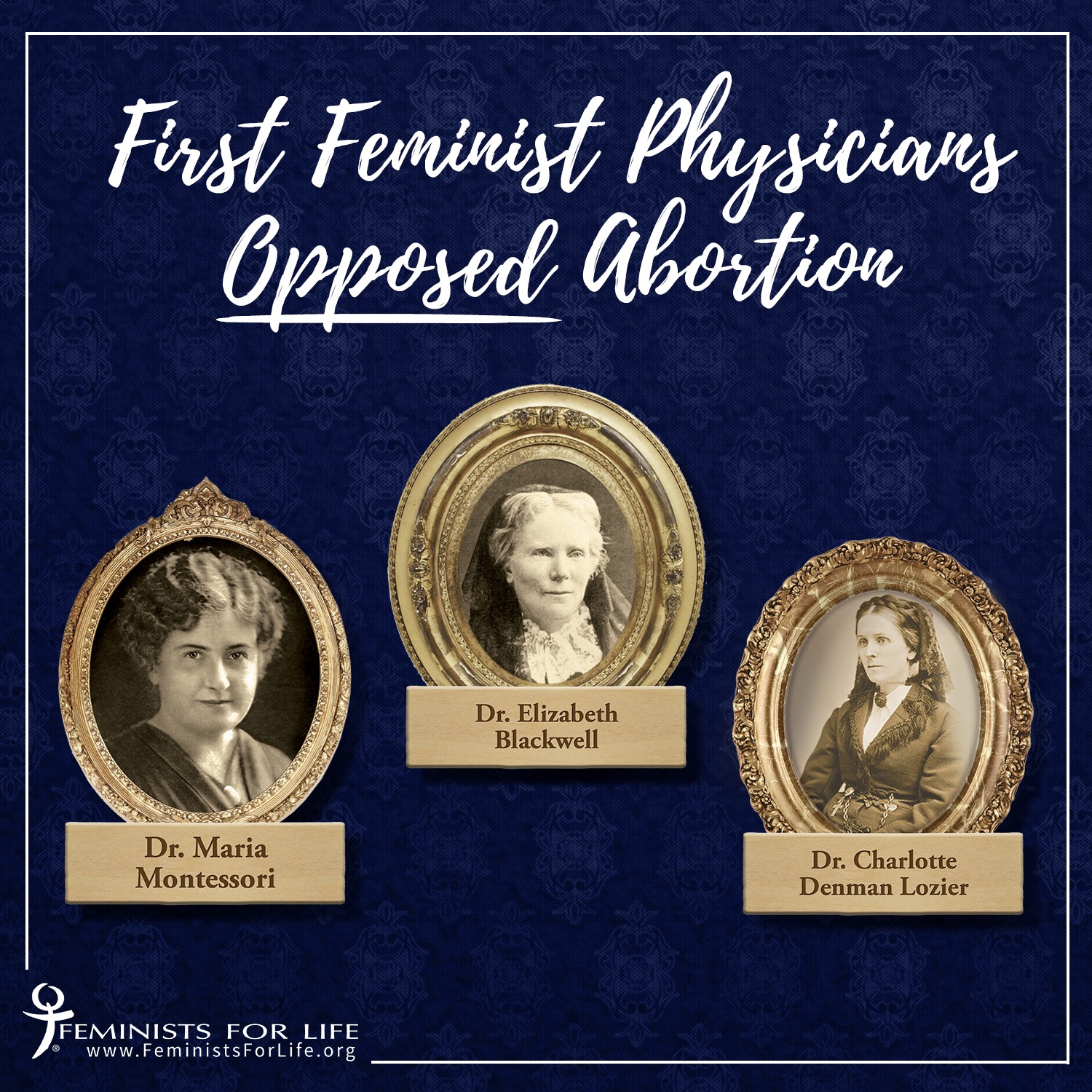 Herstory Fannie Lou Hammer Feminists For Life Herstory Fannie Lou Hammer Feminists For Life