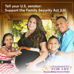 FFL supports the Family Security Act 2.0!